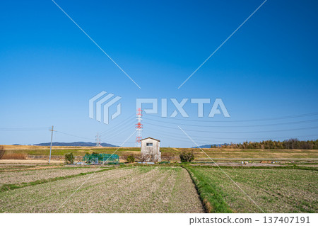 Spring rural scenery, Kyotanabe City, Kyoto Prefecture Spring rural scenery, Kyotanabe City, Kyoto Prefecture 137407191