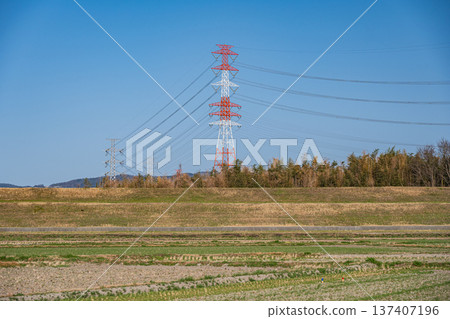 Spring rural scenery, Kyotanabe City, Kyoto Prefecture 137407196