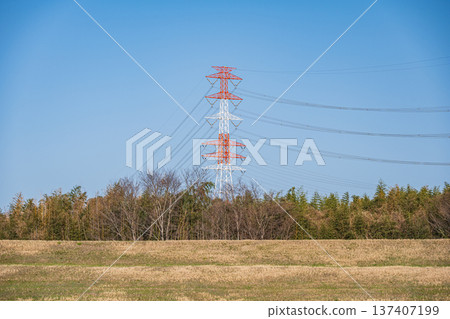 Power line towers standing beyond the bamboo forest of the Kizu River, Joyo City, Kyotanabe City, Kyoto Prefecture 137407199