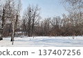 Winter Landscape With Snow Covered Trees 137407256