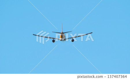 An airplane takes off against a blue sky. 137407364