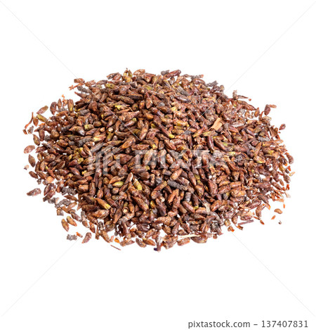 Dried birch buds isolated on white. Dried birch buds isolated on white. 137407831