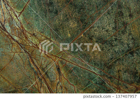 Bidasar Green Marble background, elegant texture in green color for home interior. Bidasar Green Marble background, elegant texture in green color for home interior. 137407957