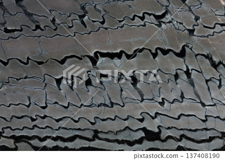Close up of lined quartzite stone background. 137408190