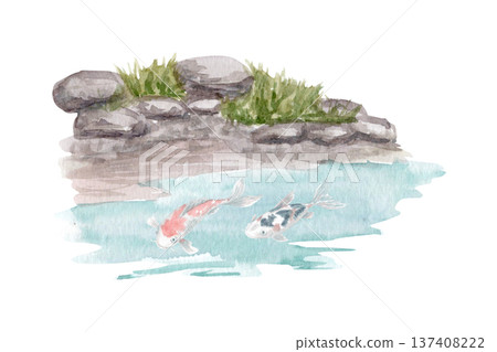 Watercolor Japanese garden pond with koi fish, rocky shoreline and grass. Hand painted zen landscape scene isolated on white, perfect for spa branding, oriental posters and tranquil decor designs Watercolor Japanese garden pond with koi fish, rocky shoreline and grass. Hand painted zen landscape scene isolated on white, perfect for spa branding, oriental posters and tranquil decor designs 137408222