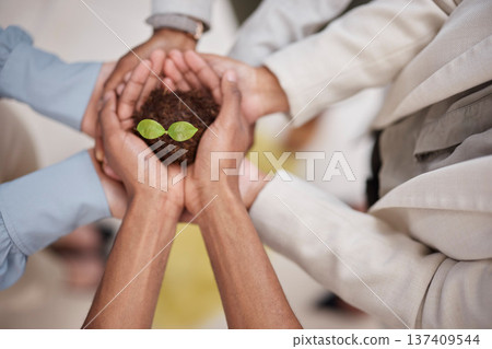 Plant, soil and hands of business team with sustainability, growth or development. Above group of people for earth day, agriculture and eco friendly investment or support and trust with collaboration Plant, soil and hands of business team with sustainability, growth or development. Above group of people for earth day, agriculture and eco friendly investment or support and trust with collaboration 137409544
