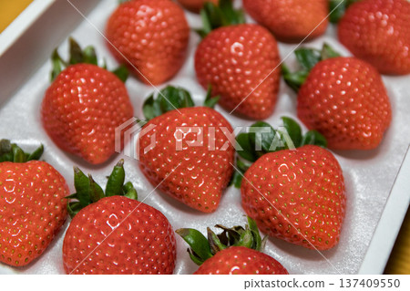 Packed strawberries, amaran 137409550