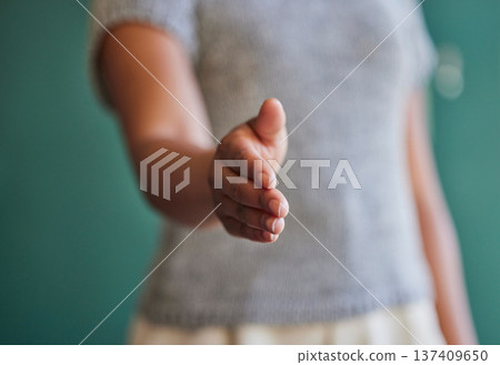Business woman, handshake and meeting in hiring, introduction or b2b deal agreement at office. Closeup of female person shaking hands in recruiting, promotion or greeting and thank you at workplace Business woman, handshake and meeting in hiring, introduction or b2b deal agreement at office. Closeup of female person shaking hands in recruiting, promotion or greeting and thank you at workplace 137409650