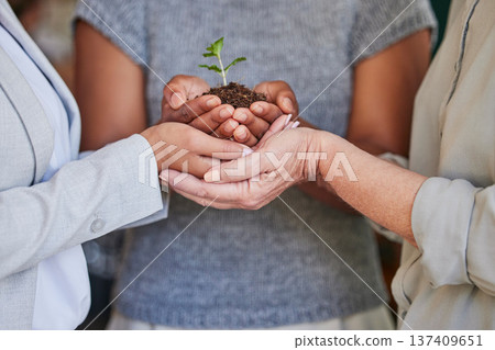 Plant grow, hands and professional people support sustainability, green charity project or eco business development. Earth Day kindness, fertilizer soil and closeup team helping future climate change Plant grow, hands and professional people support sustainability, green charity project or eco business development. Earth Day kindness, fertilizer soil and closeup team helping future climate change 137409651