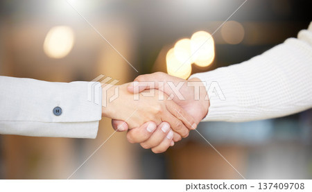 Business people, shaking hands and job interview, Human Resources meeting or welcome to partnership or opportunity. Professional clients handshake for recruitment, HR hiring and introduction in bokeh 137409708