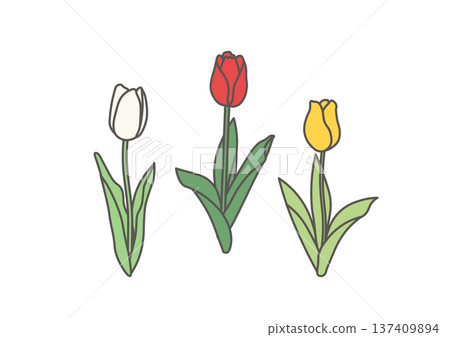Colorful tulip illustration 137409894