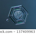 Natural snowflake crystal in blue background 137409963