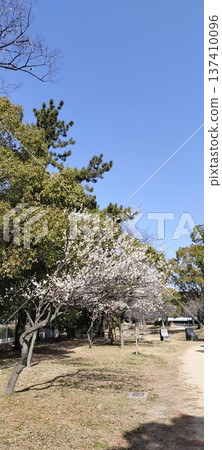Spring Weather Spring Weather 137410096