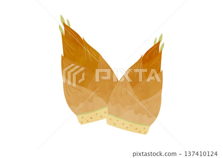 Hand-drawn bamboo shoot illustration Hand-drawn bamboo shoot illustration 137410124