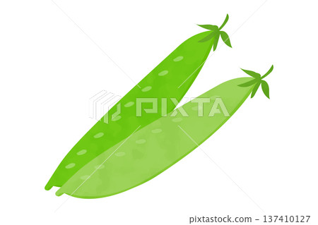 手繪花生插圖 手繪花生插圖 137410127