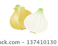手繪的蔥的插圖 137410130
