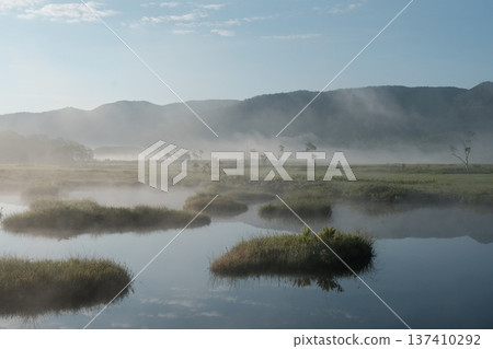 奧澤的沼澤和池塘籠罩在晨霧之中──一片寧靜的清晨景象 奧澤的沼澤和池塘籠罩在晨霧之中──一片寧靜的清晨景象 137410292