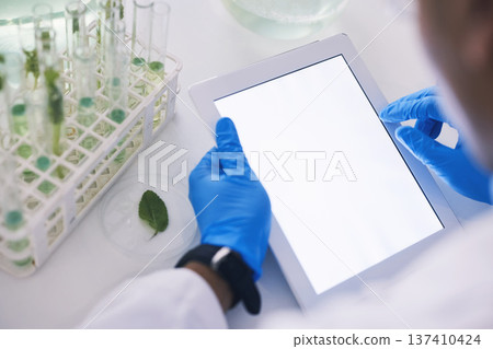Scientist, plants and mockup on tablet screen in laboratory for data analysis, eco research or sustainable app. Closeup, hands and digital space for biotechnology, science test or biology information 137410424