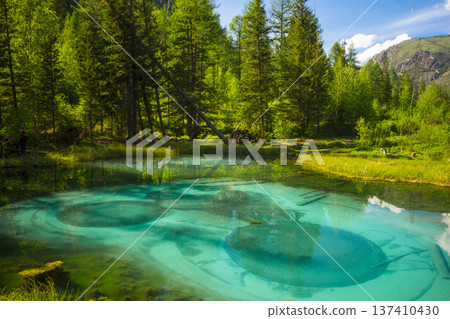 Aerial top view to blue geyser lake in forest from drone, Bird's - eye landscape Altai Mountains. Thermal springs that periodically throw turquoise clay and silt from ground. Aktash, Siberia, Russia Aerial top view to blue geyser lake in forest from drone, Bird's - eye landscape Altai Mountains. Thermal springs that periodically throw turquoise clay and silt from ground. Aktash, Siberia, Russia 137410430