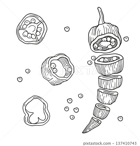 Hand-drawn sliced fresh chili pepper and chili seeds and slices composition graphic sketch for ingredients or product design Hand-drawn sliced fresh chili pepper and chili seeds and slices composition graphic sketch for ingredients or product design 137410743
