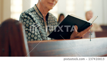 Hands, reading book or woman in church for God, holy spirit or religion in Christian community cathedral. Faith worship, bible or closeup of person praying or studying gospel to praise Jesus Christ 137410813