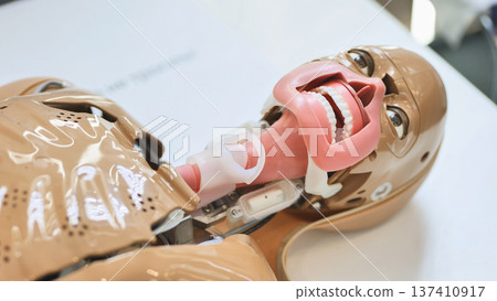 Medical training mannequin showing open mouth and airway for simulation and education Medical training mannequin showing open mouth and airway for simulation and education 137410917