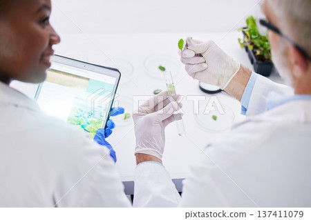 Scientist, science and hands, test tube and leaves, black woman and senior man with medical research in lab. Mentor, learning and plant sample, environment study and collaboration for investigation Scientist, science and hands, test tube and leaves, black woman and senior man with medical research in lab. Mentor, learning and plant sample, environment study and collaboration for investigation 137411079