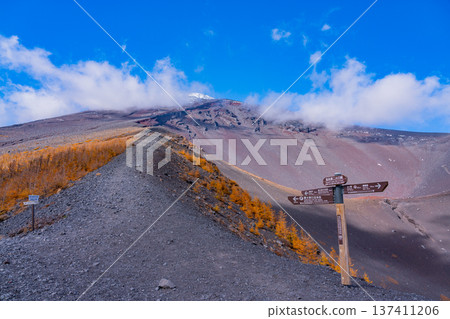 (Shizuoka Prefecture) Looking up at the summit from the Hoei Crater Promenade (Shizuoka Prefecture) Looking up at the summit from the Hoei Crater Promenade 137411206