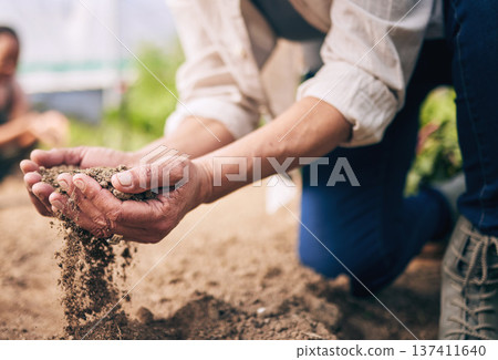 Farming, hands and outdoor with soil, dust and dirt for growth, inspection and drought at agro job. Person, sand and compost for agriculture, climate change and sustainability in closeup on ground 137411640