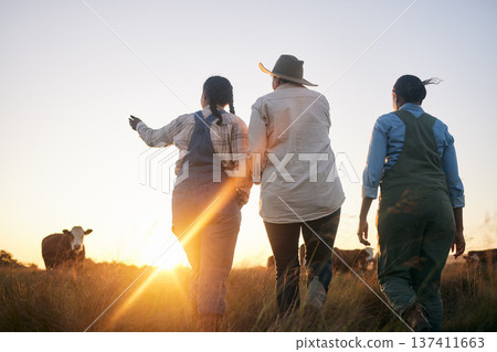 Women, farmer and walking in countryside on a grass field at sunset with cow and cattle. Female group, back and agriculture outdoor with animals and livestock for farming in nature with freedom 137411663