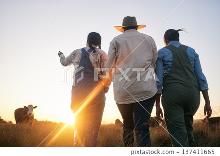 Women, farmer group and walking in countryside on grass field at sunset with cow and cattle. Female friends, back and agriculture outdoor with animals and livestock for farming in nature with freedom Women, farmer group and walking in countryside on grass field at sunset with cow and cattle. Female friends, back and agriculture outdoor with animals and livestock for farming in nature with freedom 137411665
