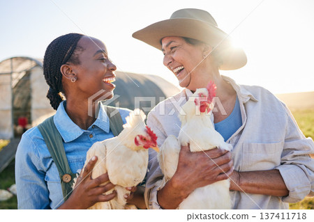 Agriculture, chicken and women laugh on farm for health check, animal wellness or growth in field. Ecology, sustainable farming and farmers and birds for free range poultry, protein or egg production Agriculture, chicken and women laugh on farm for health check, animal wellness or growth in field. Ecology, sustainable farming and farmers and birds for free range poultry, protein or egg production 137411718