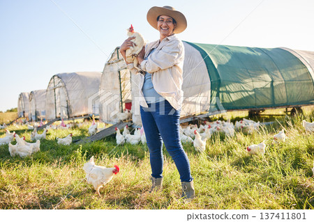 Farm, chicken and portrait of woman in field, countryside and nature for small business, growth and ecology. Agriculture, sustainable farming and person with bird for free range poultry production Farm, chicken and portrait of woman in field, countryside and nature for small business, growth and ecology. Agriculture, sustainable farming and person with bird for free range poultry production 137411801