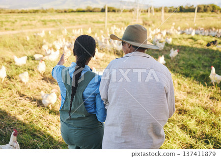 Farm, chicken and back of women in nature, countryside and field for small business, growth or inspection. Agriculture, sustainable farming and farmer team with bird for free range poultry production Farm, chicken and back of women in nature, countryside and field for small business, growth or inspection. Agriculture, sustainable farming and farmer team with bird for free range poultry production 137411879