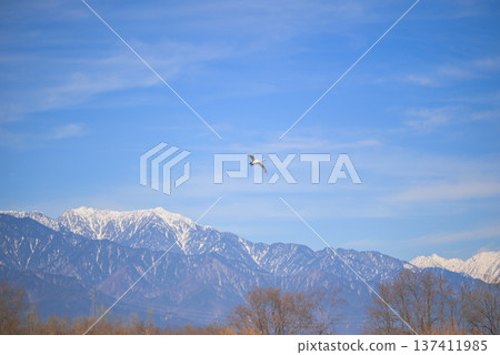 北阿爾卑斯山和天鵝(攝於大寶水庫) 北阿爾卑斯山和天鵝(攝於大寶水庫) 137411985
