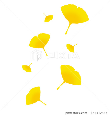 Many bright yellow ginkgo leaves 137412364