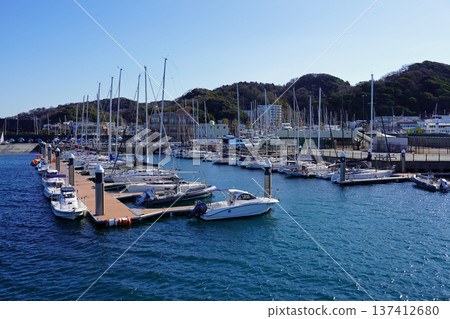 Hayama Port on a sunny day, with many small boats and dinghies moored 137412680