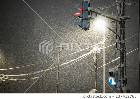 深夜暴雪中，路燈照亮了雪鄉的交通基礎設施。 137412765