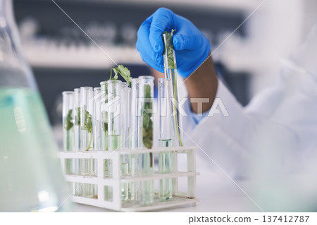 Science, plants and hands with test tube in laboratory, research and thinking with nature. Biotechnology, pharmaceutical study and scientist with leaf, lab technician checking green solution in glass Science, plants and hands with test tube in laboratory, research and thinking with nature. Biotechnology, pharmaceutical study and scientist with leaf, lab technician checking green solution in glass 137412787