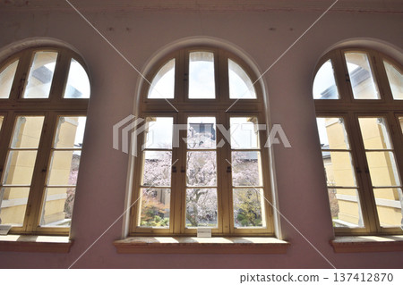 Cherry blossoms in full bloom viewed from the window of the former Kyoto Prefectural Government Office building 137412870