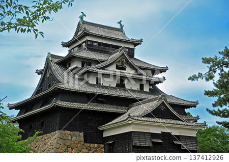 松江城堡城堡塔 松江城堡城堡塔 137412926
