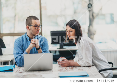 Two colleagues monitoring project progress 137412956