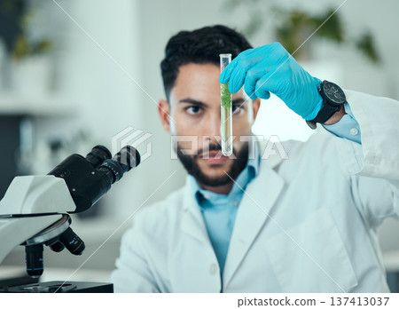 Science, man and analysis of test tube plant, biotechnology product and check natural sample for botany development. Lab experiment, investigation or male scientist focus on organic growth inspection 137413037