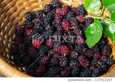 Black mulberry and red mulberry in a basket, close-up. Organic fresh berries. sweet blackberries Black mulberry and red mulberry in a basket, close-up. Organic fresh berries. sweet blackberries 137413207