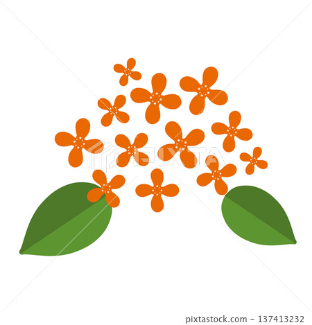 Many small orange flowers 137413232