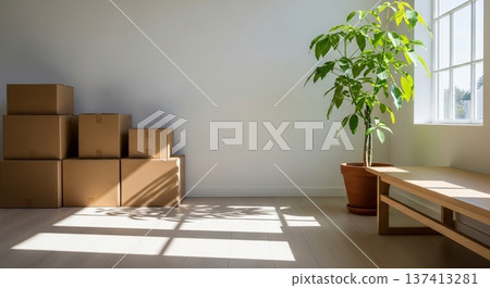 A bright living space with cardboard boxes and a sofa right after moving in 137413281