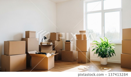 A bright living space with cardboard boxes and a sofa right after moving in A bright living space with cardboard boxes and a sofa right after moving in 137413284