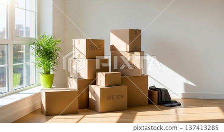 A bright living space with cardboard boxes and a sofa right after moving in A bright living space with cardboard boxes and a sofa right after moving in 137413285
