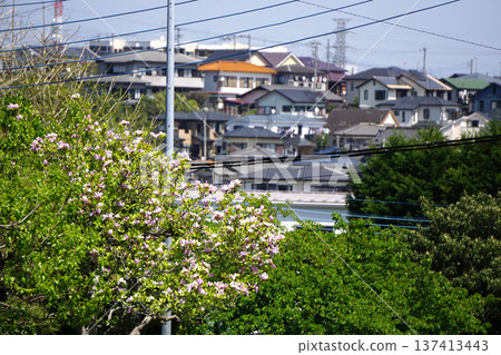 Town area Town area 137413443