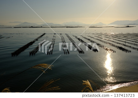View of the oyster rafts in Jigozen View of the oyster rafts in Jigozen 137413723